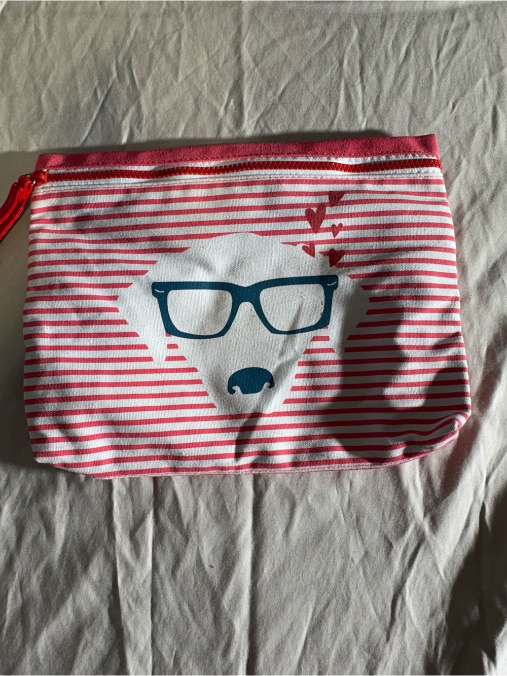 Pink Stripe Dog Zip Pouch with Glasses Print